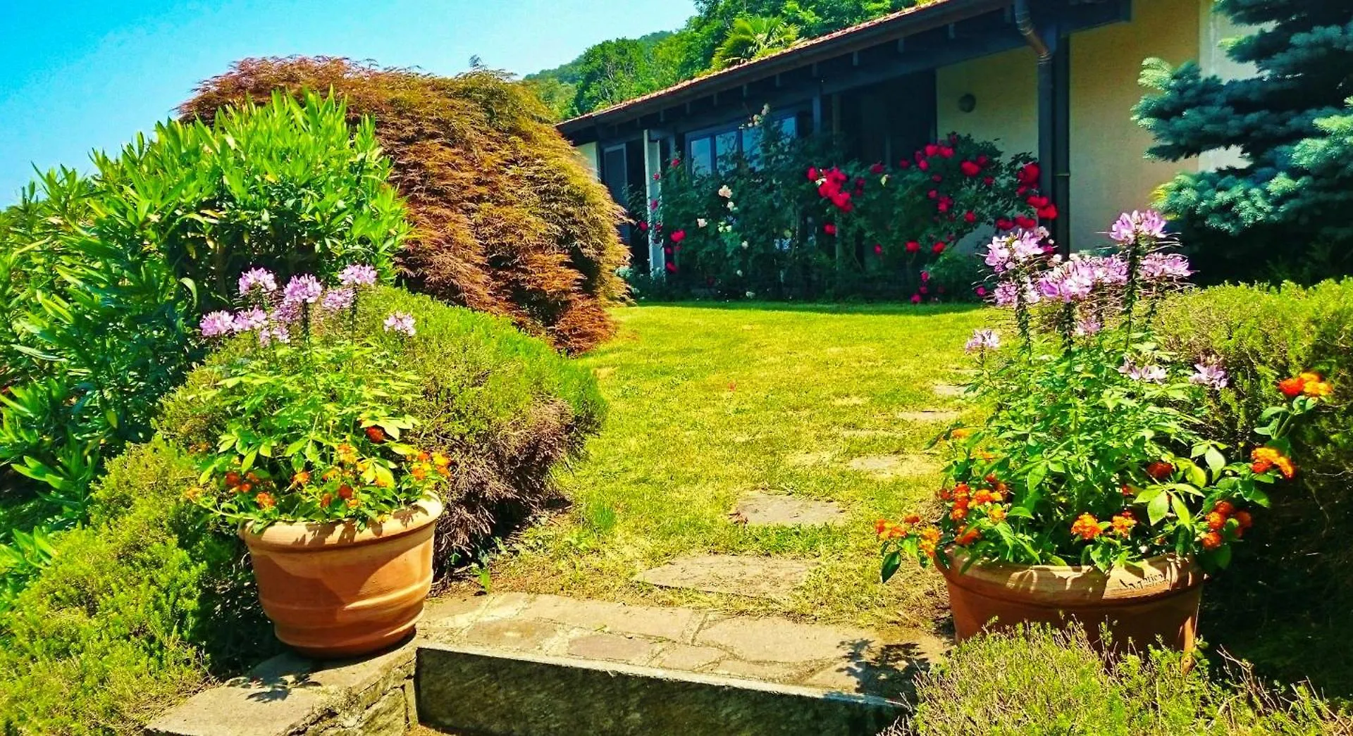 Casa Elena Villa Castelveccana 0*,